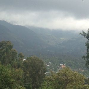 Meet your Posher, Hanna